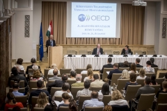 Nagy István OECD