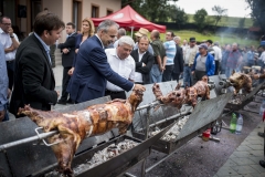 Nagy István, vágópont, Csíkcsomortán, Csíkszereda, Erdély, Románia