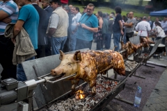 vágópont, sertés, disznó, Csíkcsomortán, Csíkszereda, Erdély, Románia