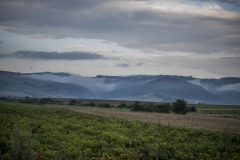 Tusnádfürdő, Erdély, Románia, táj, föld