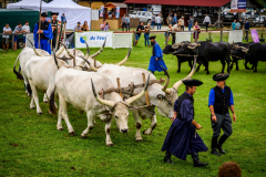 Farmer-Expo-Nagy-Istvan-agrarminiszter-1