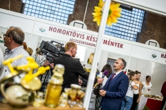 Nagy István, Jászberény, Jász expo