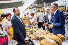 Nagy István, Jászberény, Jász expo