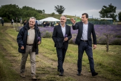 Levendula Hetek Tihanyban 0615