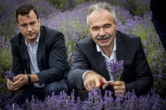 Nagy István  agrárminiszter levendulafesztiválon Tihanyban