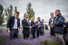 Nagy István  agrárminiszter -levendulaszüret Tihanyban