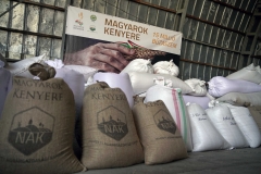 Magyarok Kenyere, Csorna