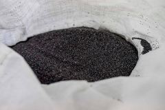 Sotiva Seed Kft. máktisztító üzem átadás Tiszavasváriban