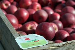 Őszköszöntő Szabolcsi Almanap - Nagy István agrárminiszter