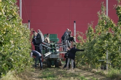 Őszköszöntő Szabolcsi Almanap - Nagy István agrárminiszter