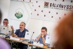 NAGY ISTVÁN, TUSNÁDFÜRDŐ, BÁLVÁNYOSI SZABADEGYETEM, Erdély, Románia