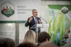 Nagy István, Vassurány, NAK, búza fajtabemutató