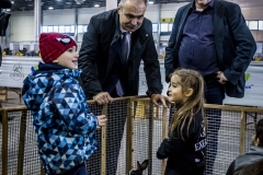 Nemzeti-galamb-baromfi-nyúl-és-díszmadár-kiállítás-Hungexpo-2019-15