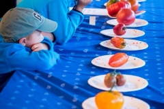 Ökológiai Mezőgazdasági Kutatóintézet rendezvénye, Nagy István agrárminiszter