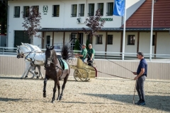 Szilvásváradi Lipicai Lovasközpont, Nagy István agrárminiszter