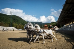 Szilvásváradi Lipicai Lovasközpont, Nagy István agrárminiszter