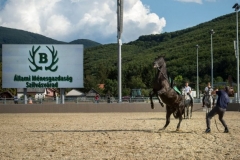 Szilvásváradi Lipicai Lovasközpont, Nagy István agrárminiszter
