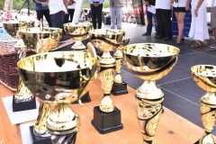 VI. Szürkemarha Fesztivál Harsány