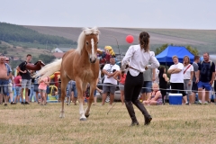 VI. Szürkemarha Fesztivál Harsány