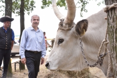 VI. Szürkemarha Fesztivál Harsány - Nagy István miniszter