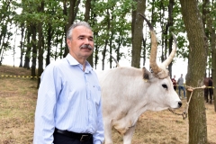 VI. Szürkemarha Fesztivál Harsány - Nagy István miniszter