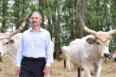 VI. Szürkemarha Fesztivál Harsány - Nagy István miniszter